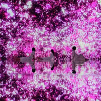 כרטיסים ל-teamLab Planets Tokyo, Tokyo, Japan, Tokyo
