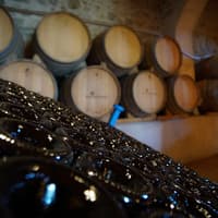 Barcelona: Half-Day Tour with Sailing, Vineyard Tour & Wine Tasting — gallery 1