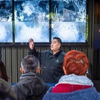 Te Puia: Te Rā Guided Experience — gallery 2