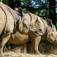 Whipsnade Zoo Entrance Tickets — gallery 4