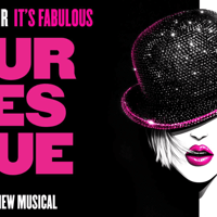 Production photograph from Burlesque The Musical