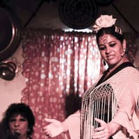 Caves of Sacromonte Los Tarantos: Flamenco Show with Drink and Optional Dinner — gallery 3