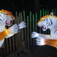 Zoo Atlanta: IllumiNights — gallery 3