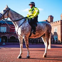 London: 40+ Top Sights Guided Walking Tour — gallery 3