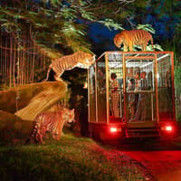 Bali Safari Tickets — gallery 1