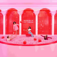 Museum of Ice Cream Miami: Entry Ticket — gallery 2