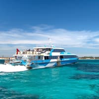 From Hillarys: Rottnest Island Return Ferry — gallery 3