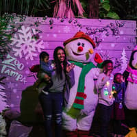 ZooTampa: Christmas in the Wild — gallery 1