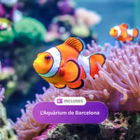 Go City Barcelona Explorer Pass: Choose from 45 Attractions — gallery 5