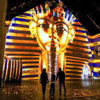 Fabrique des Lumières Entry Tickets — gallery 2