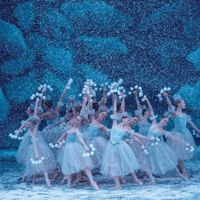 The Nutcracker — gallery 2