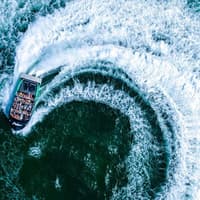 Gold Coast: 45-Min Jet Boat Ride + Roundtrip Transfer from Surfers Paradise — gallery 1