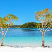 From Hervey Bay: K'gari (Fraser Island) 1-Day Classic Coach Tour with Lunch — gallery 3