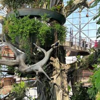 Green Planet Dubai Tickets — gallery 3