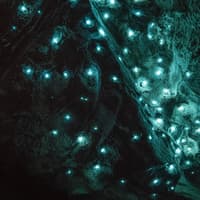 Aranui Cave Guided Tour — gallery 4