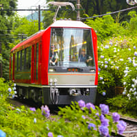 Hakone & Kamakura 3-Day Transportation Pass — gallery 2