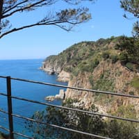 Costa Brava: Excursion including a boat Tour from Lloret de Mar to Tossa de Mar — gallery 3