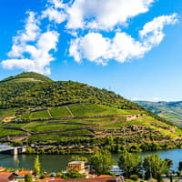 Historic Douro Valley Guided Tour with 1-Hour Pinhão Cruise, Traditional Lunch & Wine Tastings — gallery 5