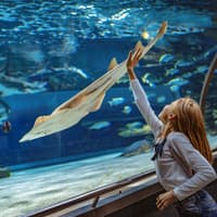 Barcelona Aquarium Skip-the-Line Tickets — gallery 1