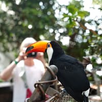 Green Planet Dubai Tickets — gallery 1