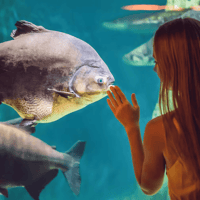 Barcelona Aquarium: Flexi-Ticket — gallery 2