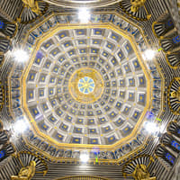 Siena Cathedral Complex OPA SI Pass with Audio Guide — gallery 4