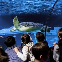 SEA LIFE Porto: Entry Ticket — gallery 1