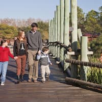 Temaikèn Zoo: Entrance & Transport from Buenos Aires — gallery 1