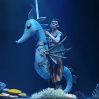 Varuna Underwater Show Tickets — gallery 2
