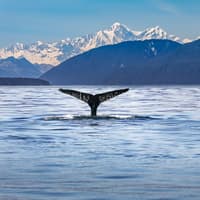 Kaikoura: Small-Group Guided Tour from Christchurch + Lunch — gallery 1