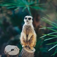 Barcelona Zoo: Skip The Line Ticket — gallery 1