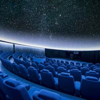 Combo: Oceanogràfic + Hemisfèric Tickets — gallery 5