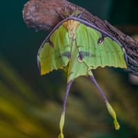 Audubon Aquarium & Insectarium: Combo Entry Ticket — gallery 4