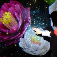 Arte Museum Las Vegas: Entry Ticket — gallery 1