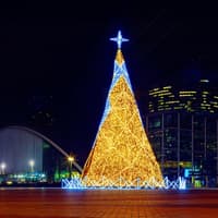 Tootbus: Paris Christmas Night Bus Tour — gallery 1