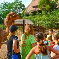 Fast Track Access to Terra Natura Benidorm — gallery 5