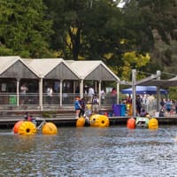 From Melbourne: Puffing Billy Train Ride & Phillip Island Guided Tour — gallery 2