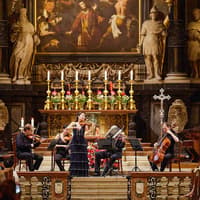 St. Stephen's Cathedral: Vivaldi's Four Seasons Concert — gallery 3