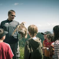 Grouse Mountain: Summer Admission Ticket — gallery 2