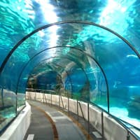 Hurghada Grand Aquarium: Entry Ticket + Roundtrip Transport — gallery 1