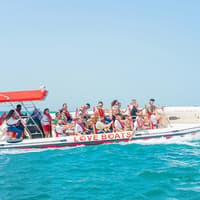Love Boats Palm Jumeirah 60/75/90 Minutes Tour — gallery 1