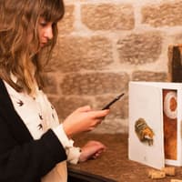 Les Caves du Louvre: French Wine Experience — gallery 1