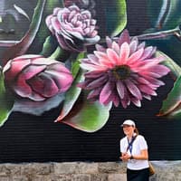 Montreal: Murals Walking Tour — gallery 2