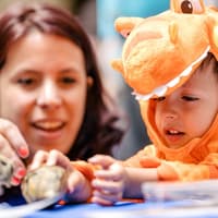 The Field Museum of Natural History: Pass — gallery 3