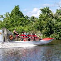 New Orleans: Small Airboat Ride — gallery 3