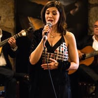 Tickets to Fado Concert in Calem Caves — gallery 4