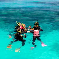 Michaelmas Cay Great Barrier Reef Sailing Cruise from Cairns — gallery 2