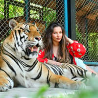 Tiger Park Tickets with Tiger Play Packages — gallery 1