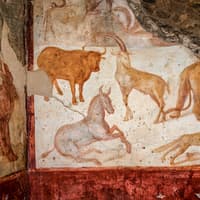 Pompeii Entry Tickets — gallery 4