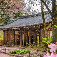 Nami Island & Mount Seorak Day Tour — gallery 1